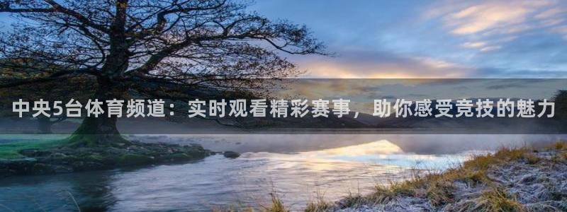 小九直播免费体育直播：中央5台体育频道：实时观看精彩赛事，助你感受竞技的魅力