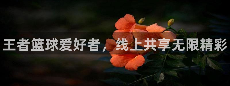 nba直播小九直播在线观看：王者篮球爱好者，线上共享无限精彩