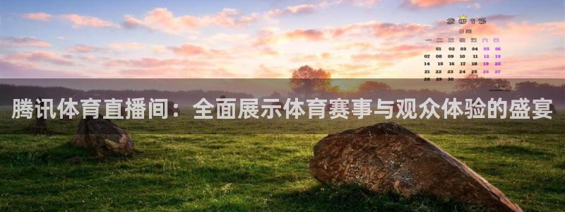 nba直播小九直播：腾讯体育直播间：全面展示体育赛事与观众体验的盛宴