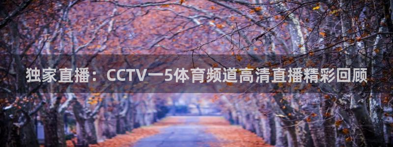小九直播免费足球观看：独家直播：CCTV一5体育频道高清直播精彩回顾