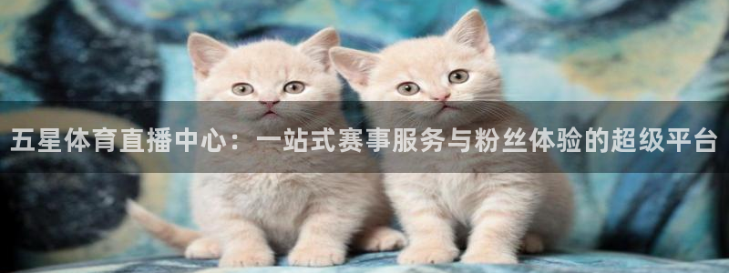 小九直播app：五星体育直播中心：一站式赛事服务与粉丝体验的超级平台