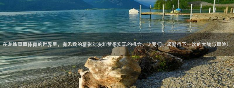 nba直播小九直播：在龙珠直播体育的世界里，有无数的精彩对决和梦想实现的机会，让我们一起期待下一次的大战与冒险！