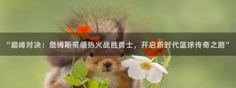 足球直播小九直播在线观看：“巅峰对决：詹姆斯带领热火战胜勇士，开启新时代篮球传奇之路”