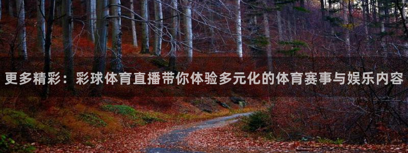 足球小九直播：更多精彩：彩球体育直播带你体验多元化的体育赛事与娱乐内容