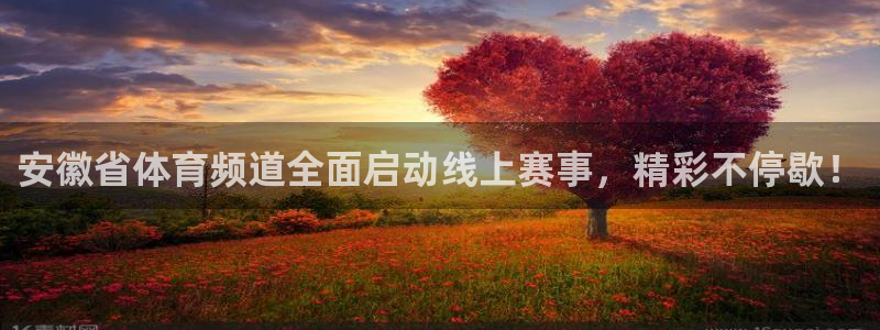 小九直播篮球nba：安徽省体育频道全面启动线上赛事，精彩不停歇！